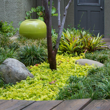 Secret Sanctuary Garden