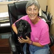 Caryn Orrick's photo