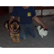 Michael Couch's photo