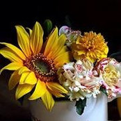 Marcia Preston Ramsey's photo