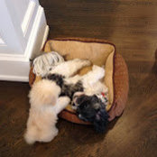 Sharon Fox's photo