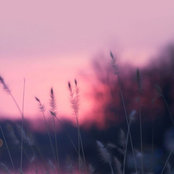 Sandra's photo