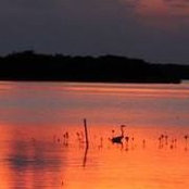 Debra Byrd's photo