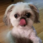 Christina Hernandez's photo