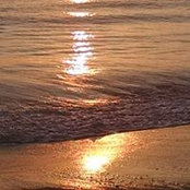 Talicia Vanhooser's photo