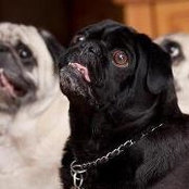 Melinda Herkimer's photo