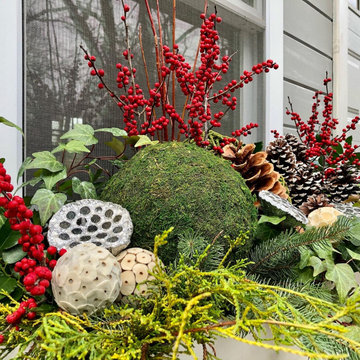 Holiday Window Boxes