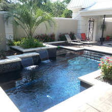 Dream Yard