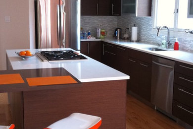 Kitchen - contemporary kitchen idea in Dallas
