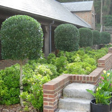 gardens