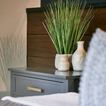 Ozark Modern, Springfield, MO