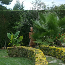 Jardín de la semana: Puro Mediterráneo