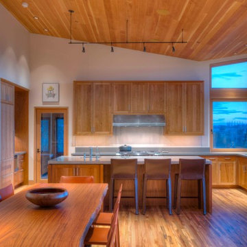 Mountain View Home