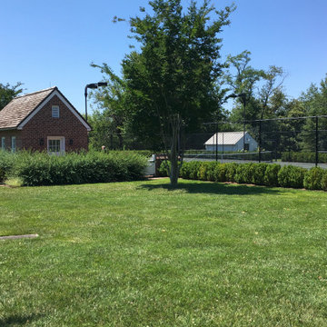 Tennis Area