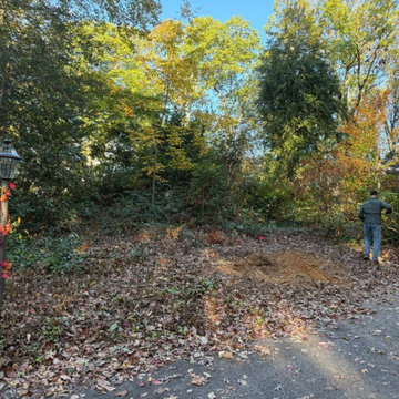 A Natural Woodland Edge Refresh in Wayne