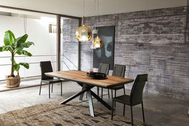 Design ideas for a contemporary dining room in Venice.