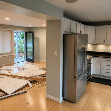Seattle Rambler Stud out Remodel