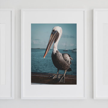 Bob The Pelican 2 Colorized Wildlife Photograph Coastal Wall Art Print