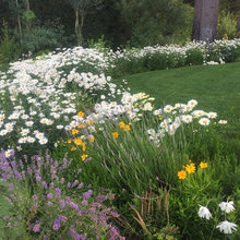 sun garden