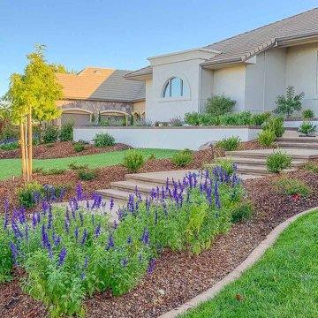 Yard Care, Lawn Mowing, Weeding, Edging, Pest Control
