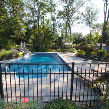 A Summer Vacation at Home