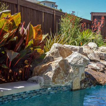 Hawaii Retreat in this limited space backyard in Danville, Ca