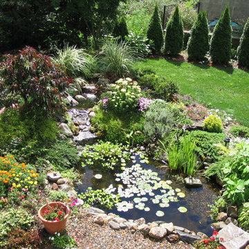 Custom Water Features
