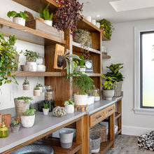 Plantes
