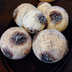 Birch Bark Balls - Home Decor
