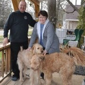 Sandra Harrold-Torok's photo