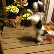 Mary Carter's photo