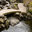 edinburgh landscaping
