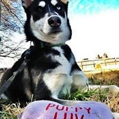 Kyle Toal's photo
