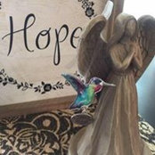 Lynsay Noorian's photo