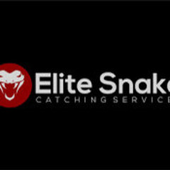 Brisbane Snake Catchers
