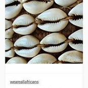 Lynn Kenner's photo