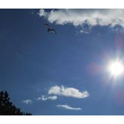 Karen McClanahan's photo