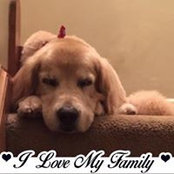 Donna Sanders's photo
