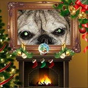 Sharon Rosenstein-Taylor's photo