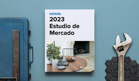 Estudio de mercado Houzz España 2023