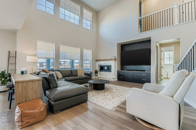 Example of a living room design in Denver