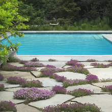ground cover uses