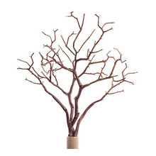 centerpieces