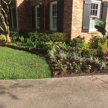 Southern Louisiana Tropical Garden