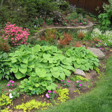 Perennial Garden