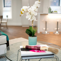Boston, MA - Coffee Tables