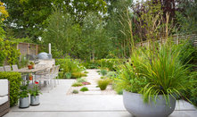 Sunny Patio Meets Shaded Woodland Retreat in a London Yard