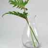 Glass Carafe Vase. 7.25", 4.5", 1 Piece