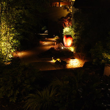 Bamboo Garden walkways