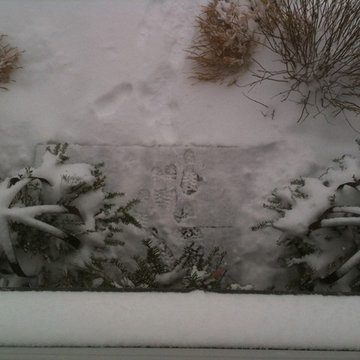 Winter In The Garden